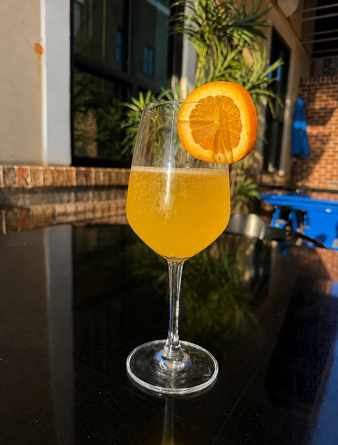 Mimosa at Funkheizer's